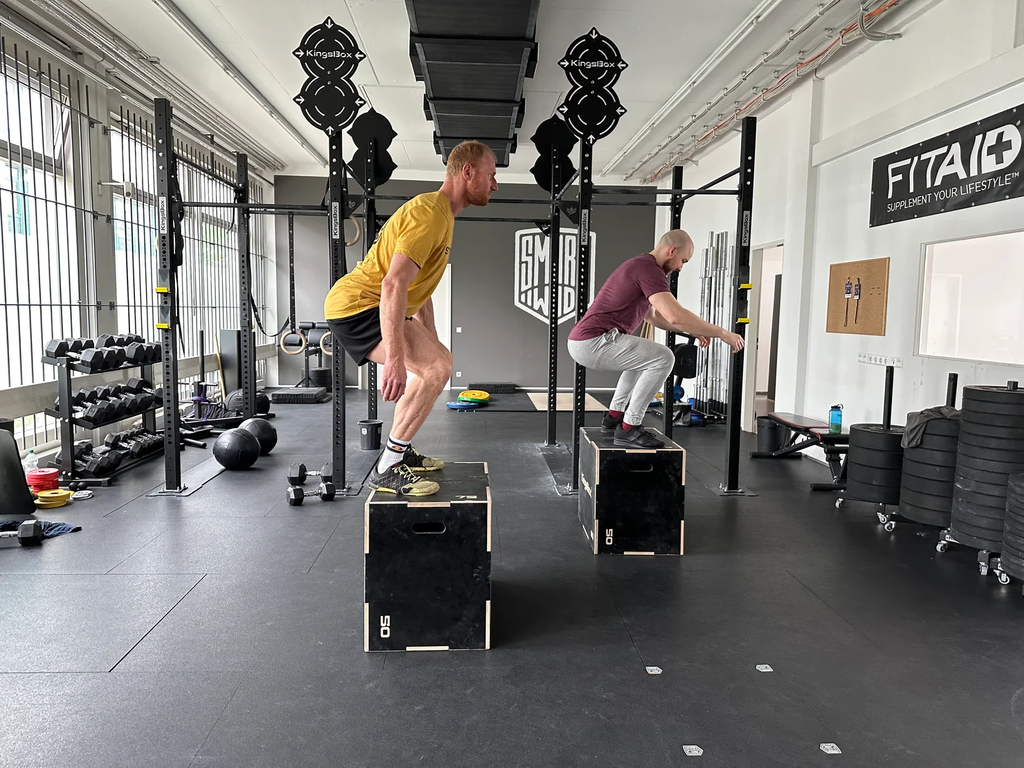 2 Athleten, die Box Jumps machen